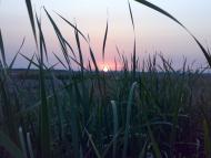 Шевченка з panoramio.com