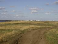 Волошине з panoramio.com