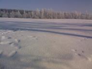 Осовець з panoramio.com