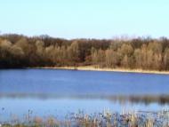 Малий Крупіль з panoramio.com