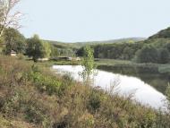 Вербка з panoramio.com