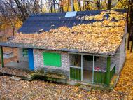 Грибуваха - Останні фото