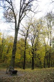 Корсунь-Шевченківський з panoramio.com