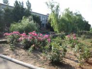 Інгулка з panoramio.com