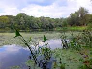 Серебрянка з panoramio.com