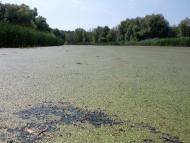 Кам'яний Брід з panoramio.com