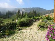 Подобовець з panoramio.com (ч.2)