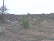 Новотимофіївка з panoramio.com