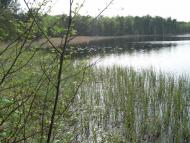 Партизанське з panoramio.com