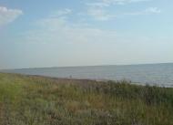 Волошино - Последние фото