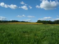 В'язенка - Останні фото