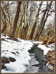 Привілля з panoramio.com