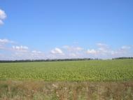 Yevetsko-Mykolayivka - Latest photos