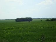 Вовча Долина з panoramio.com