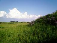 Озеро з panoramio.com