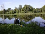 Білолуцьк - Останні фото