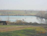 Демки Батьківщина