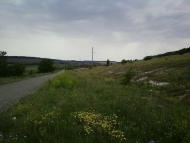 Фото Білолуцька