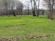 Фото Білолуцька