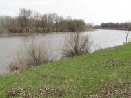 Фото Білолуцька