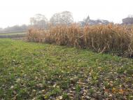 Демки - Останні фото