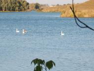 Демки Батьківщина