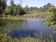 Фото Білолуцька