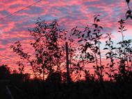 Нижній Булатець - Останні фото