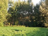 Демки Батьківщина