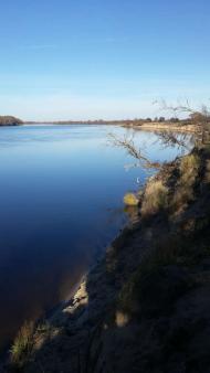 Любеч з panoramio.com