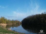 Фото Білолуцька