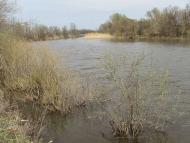 Фото Білолуцька