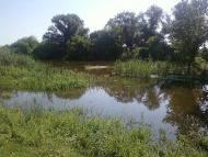 Фото Білолуцька