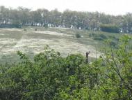 Фото Білолуцька