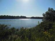 Прохорівка - Останні фото