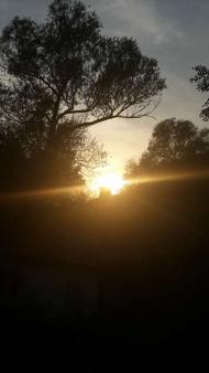 Любеч з panoramio.com