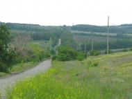 Фото Білолуцька