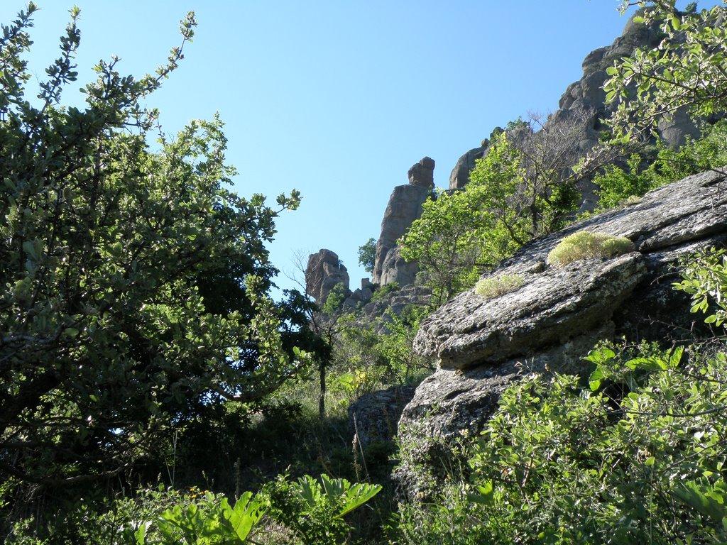 Лучисте з panoramio.com (ч.2) - Luchyste