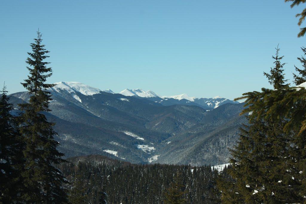 Татарів з panoramio.com - Татаров