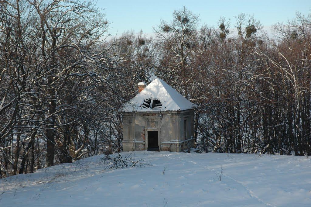 Підгірці з panoramio.com - Подгорцы