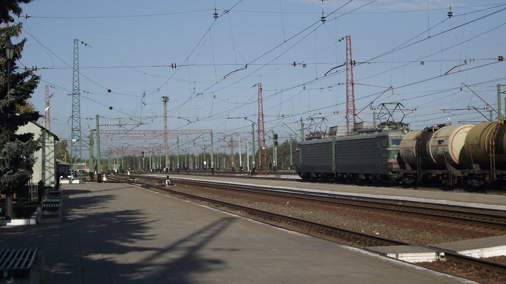 Святогірськ з panoramio.com - Svyatogirsk