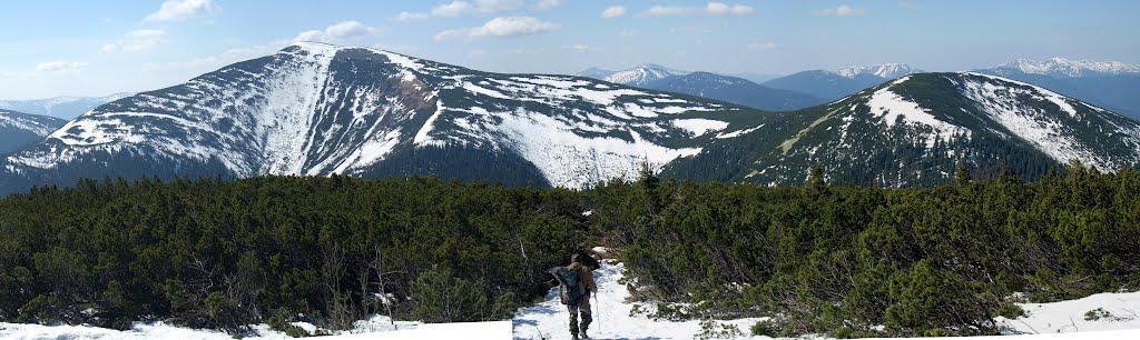 Осмолода з panoramio.com (ч.2) - Осмолода