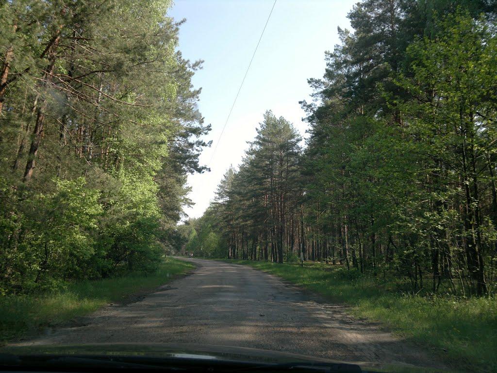 Щорс з panoramio.com - Щорс