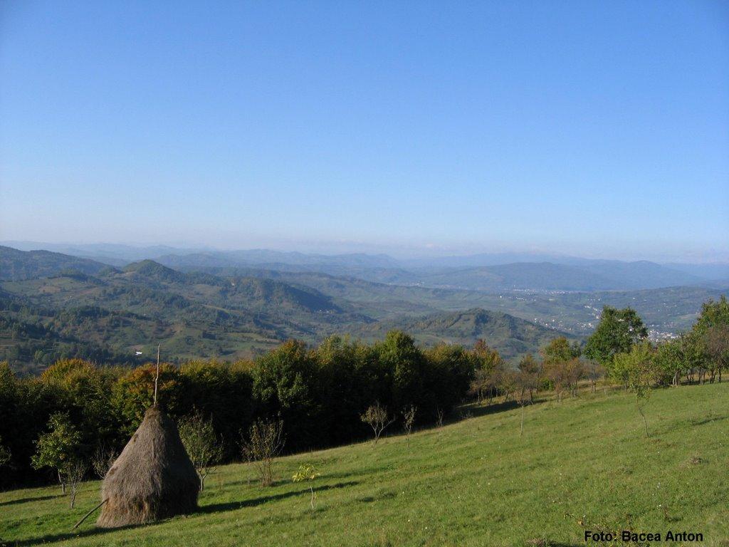 Великий Бичків з panoramio.com - Великий Бичків