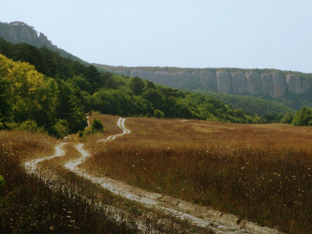 Велике Садове з panoramio.com - Большое Садовое