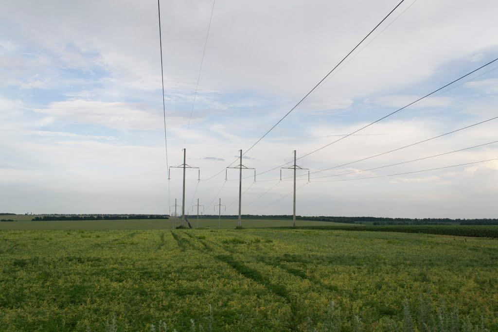 Миколаївка Друга з panoramio.com - Миколаївка Друга