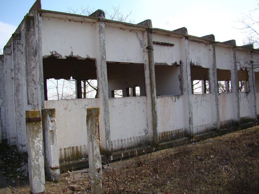 Волошине з panoramio.com - Волошино