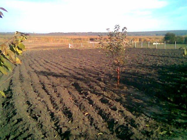 Мішково-Погорілове з panoramio.com - Мішково-Погорілове