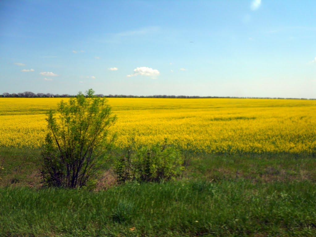 Нерушай з panoramio.com - Нерушай