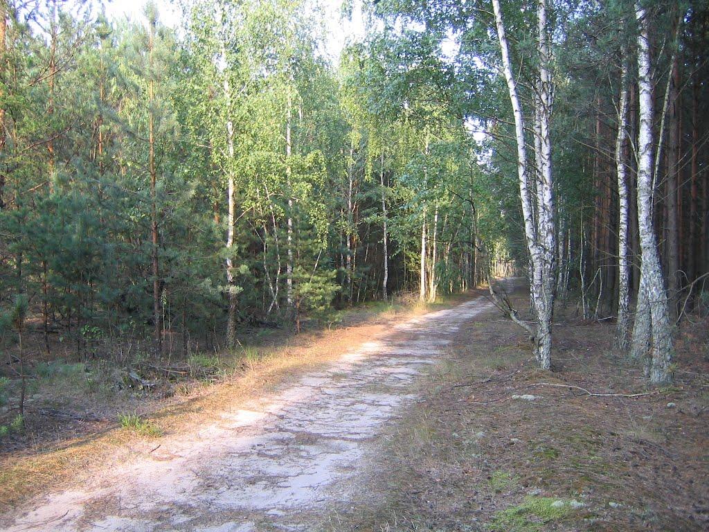 Ворсівка з panoramio.com - Ворсівка